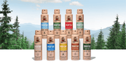 Spray Deodorant 6-Pack - All Day Fresh