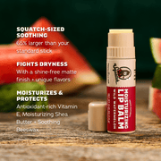 Lip Balm 4-Pack - Fresh Outdoor Lineup