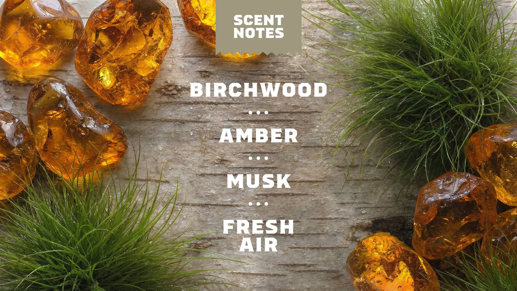 14 oz Birchwood Breeze Body Wash - Fresh Outdoor Bar
