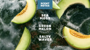 Coastal Mist - Classic Fresh Routine