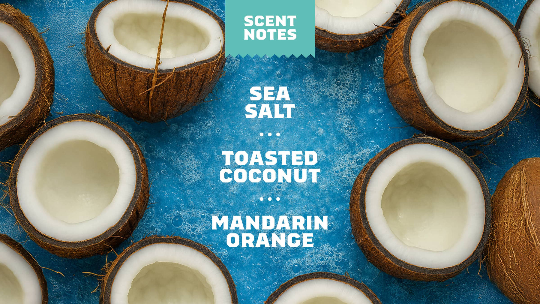 Soothing Post Shave Coconut Castaway - Daily Soft