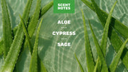 Cool Fresh Aloe Deodorant - Smooth Carry