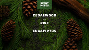 Pine Tar Lotion - Outdoor Smooth Finish