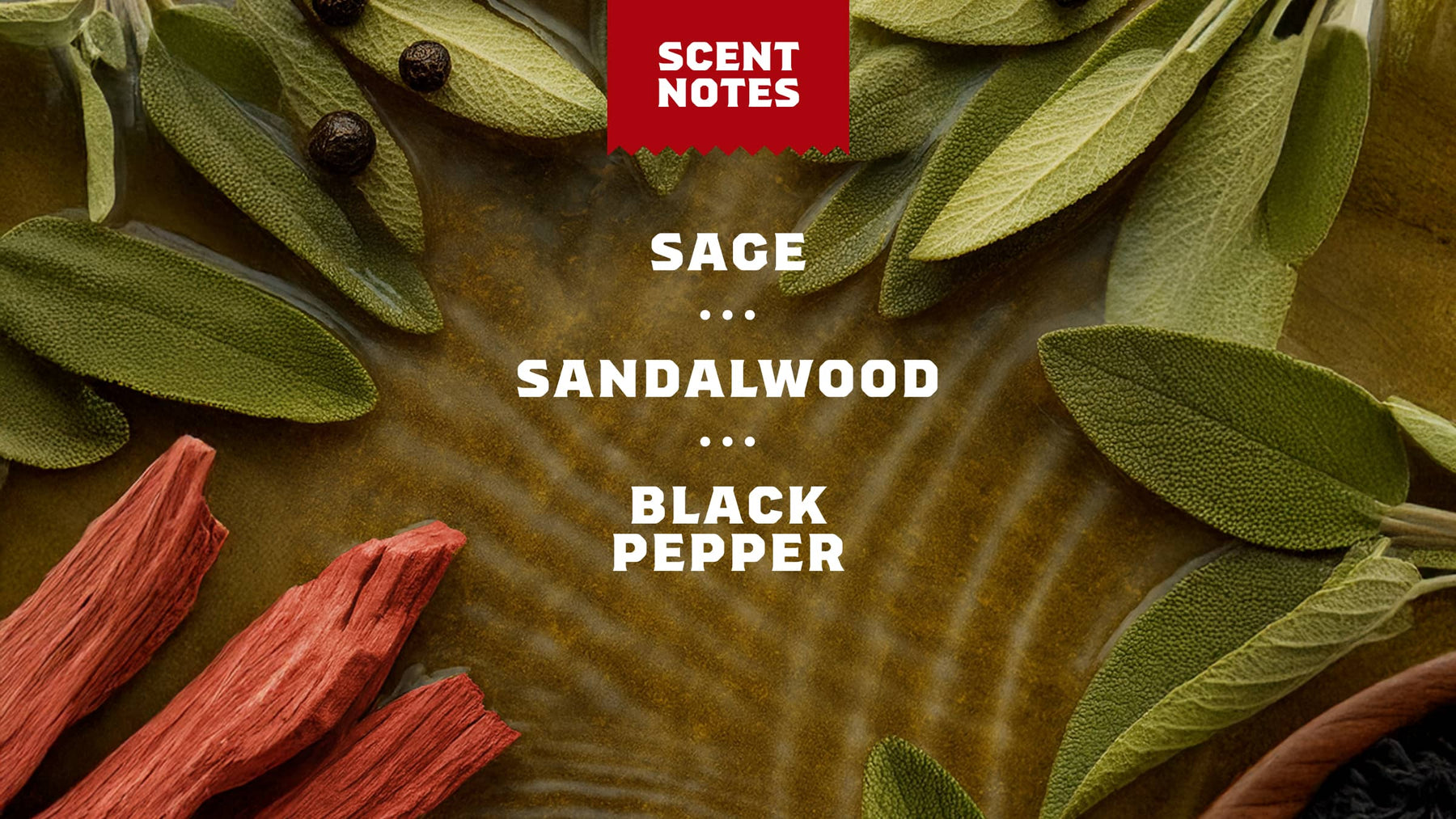 Sandalwood Summit - Trail Morning Bar