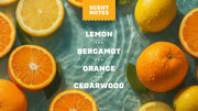 Summer Citrus - Bright Fresh