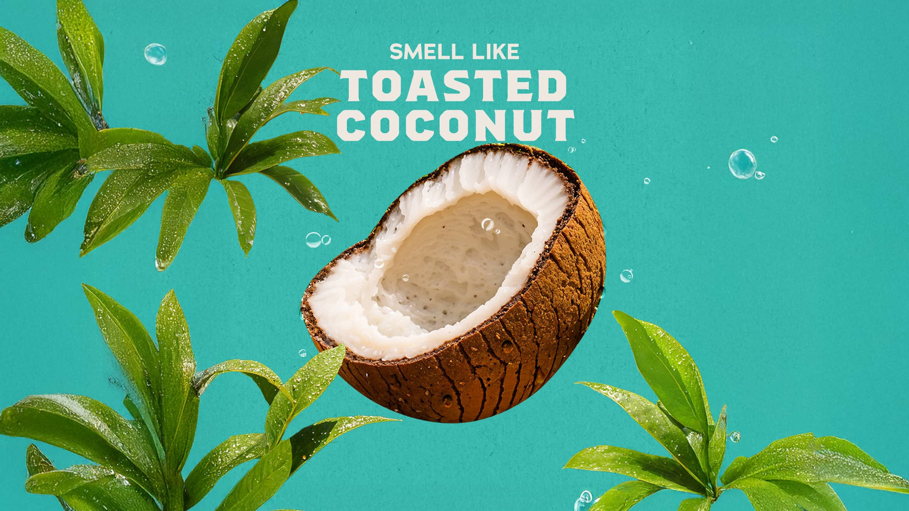 Castaway Cove Cologne - Premium Fresh Profile