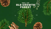 Woodland Pine Cologne - Ridge Clean