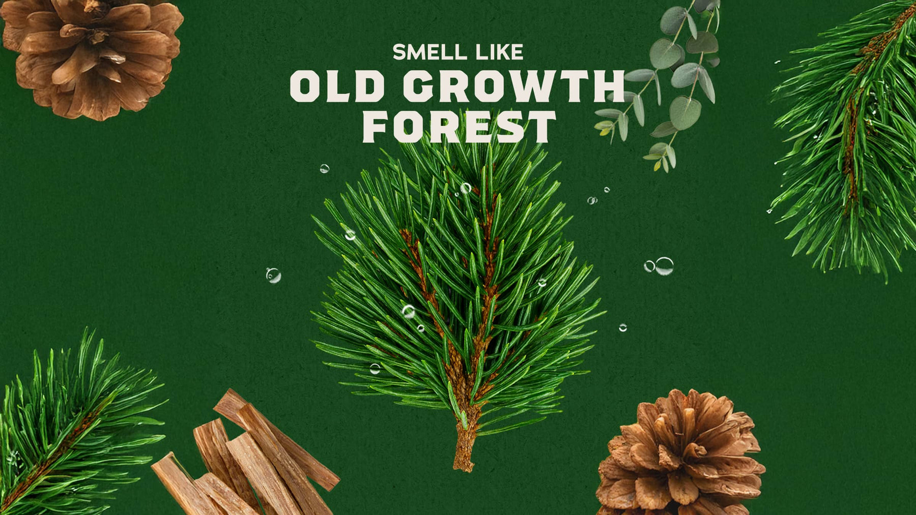Woodland Pine Cologne - Ridge Clean