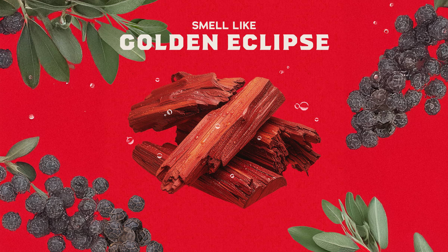 Sandalwood Summit Spray Deodorant - Modern Fresh Glide